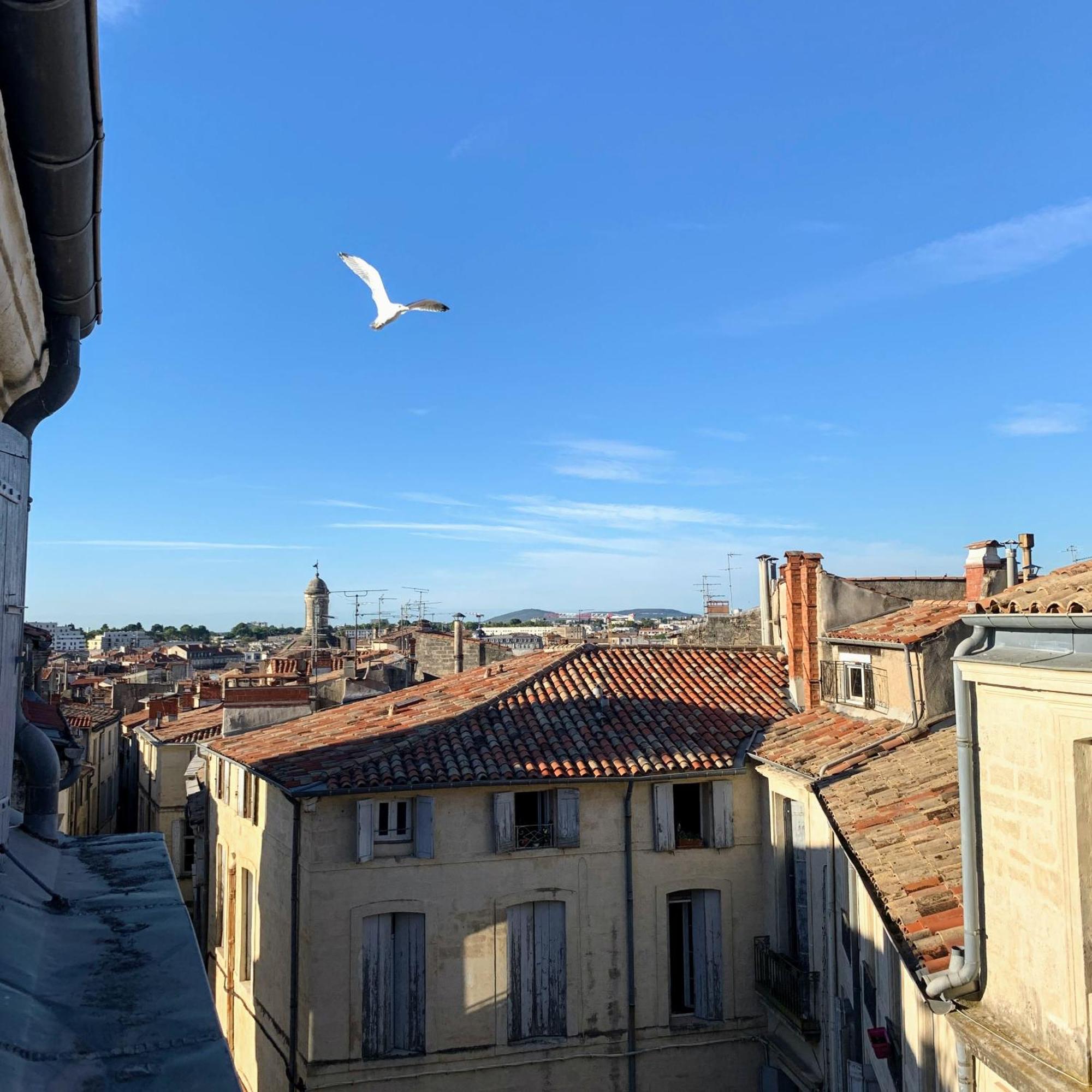 Home Chic Home - Les Toits De L'Argenterie Montpellier Dış mekan fotoğraf